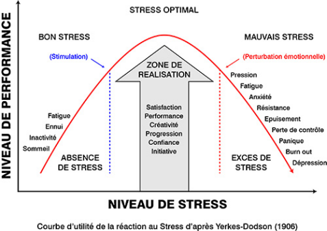 Courbe stress Yerkes-Dodson - Marie Bruguier psychologue